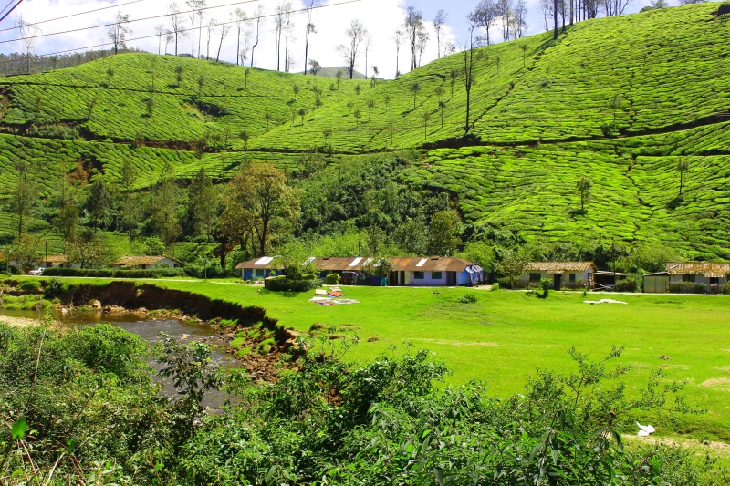 land, architecture, natural, built structure, water, lush foliage, nature, tea, green color, tree, hill station, tranquility, plant, scenics - nature, grass