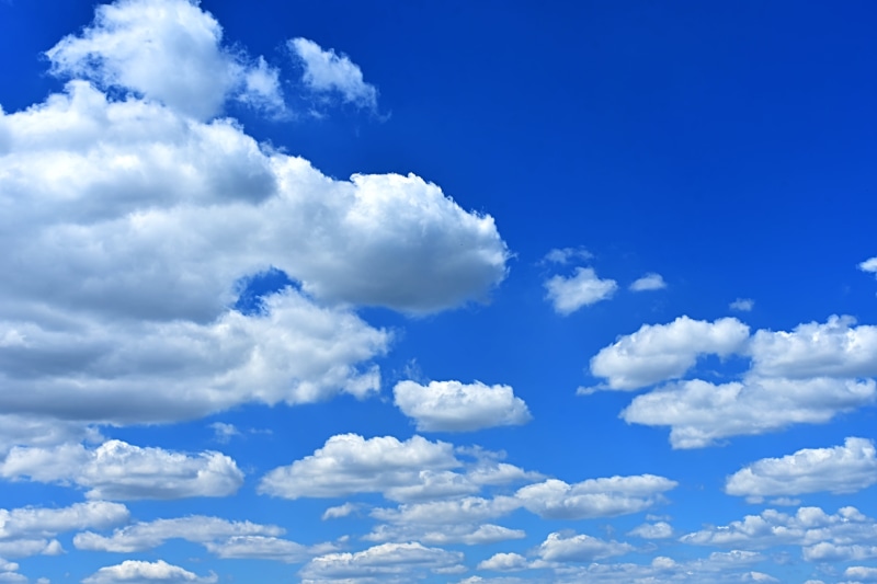 outdoors, beauty in nature, clouded sky, fluffy, weather, sunny day, white color, softness, low angle view, no people, backgrounds, idyllic, sky, cumulus cloud