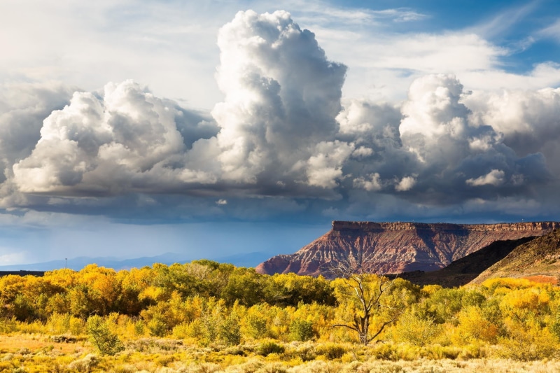 remote, tranquility, day, tree, cumulus, Zion National Park, change, 1080P, non-urban scene, formation, landscape, tranquil scene, beauty in nature, sky