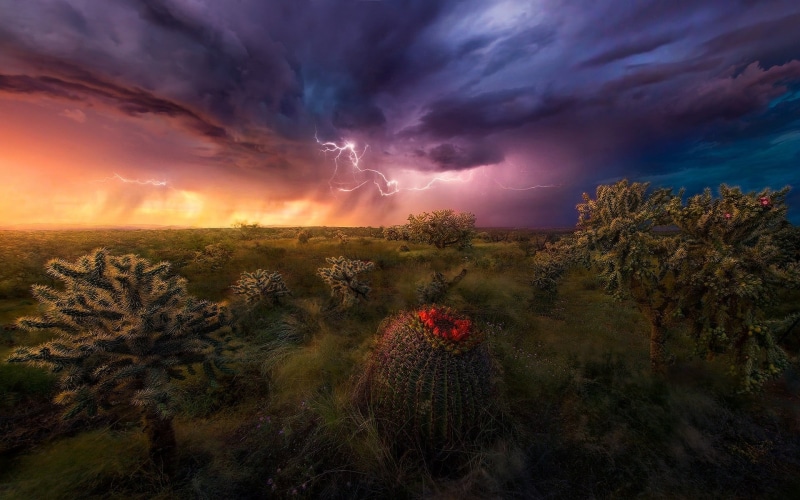 grass, scenics - nature, sky, outdoors, photography, Arizona, plant, green, power in nature, cumulus, storm cloud, stock, environment, nature, beauty in nature