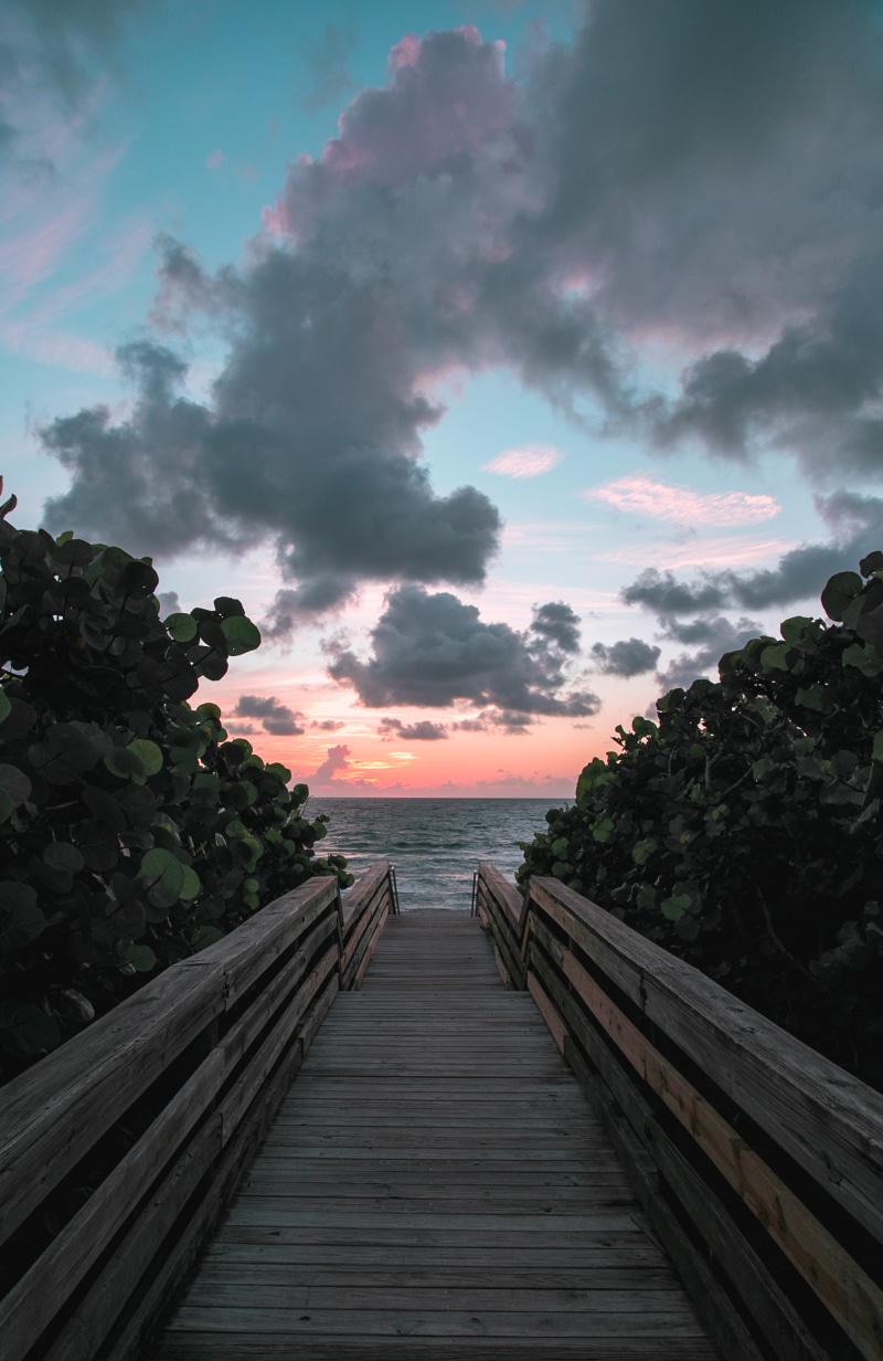 wood - material, wood, sky, beauty in nature, waves, plant, walk, architecture, serenity, tree, plants, direction, yoga, motivation, diminishing perspective
