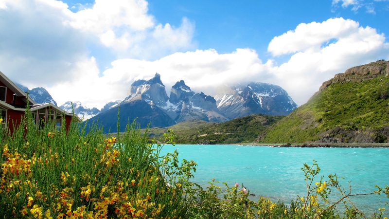 patagonian, environment, south america, lake, plant, landscape, tranquil scene, torres del paine national park, cloud - sky, mountain range, 4K, chile