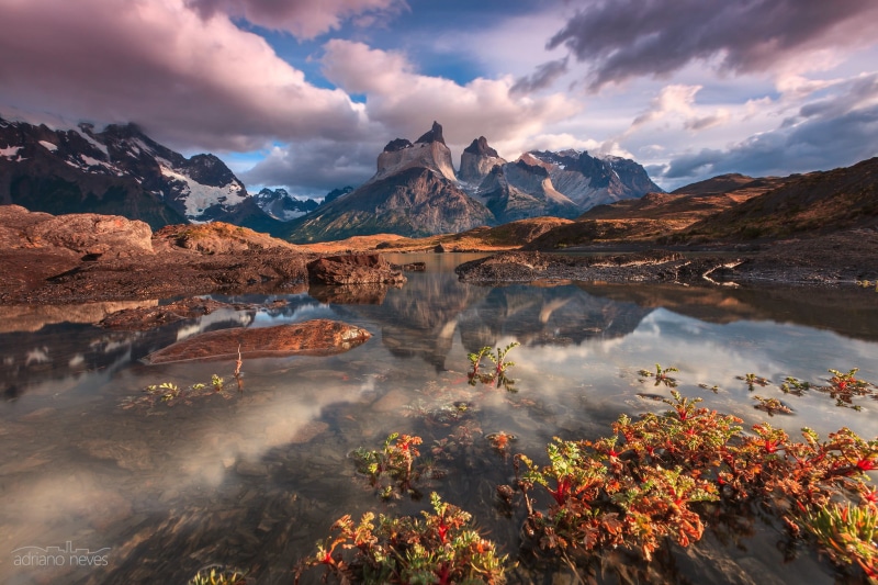 landscape, water, plant, scenics - nature, Nordenskjöld Lake, lake, mountain peak, reflection, Chile, February, tranquil scene, sky, nature, sunset, mountain range