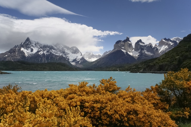 mountains, beauty In Nature, canon  eos, colors, 2K, scenic, landscape, yellow  blue, Torres del Paine  National Park, Patagonia, autumn, flowers, Contrasts