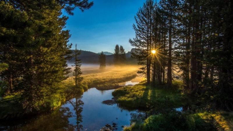 morning, sunrise, river, 1080P, forest, creek, misty, fog, down
