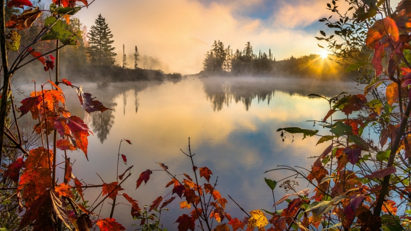 misty, lake, sky, reflection, cloud, autumn, autumn colors, red leaves, morning, plant, sunrise, reflected, 4K, autumn leaves, sunlight