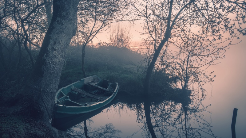 dawn, boat, mist, mirror, lake, morning, misty, fog, reflects, reflected, tree, reflection, 4K, lakeside
