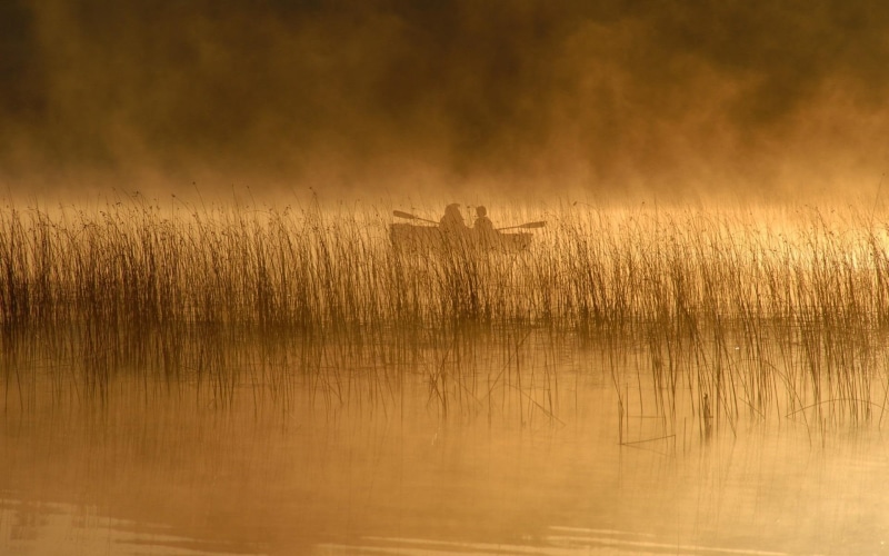 lake, fishing, misty, morning, mist, early, nature and landscapes, boat, reeds, 1080P