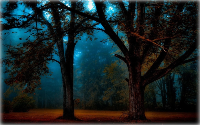 blue, 1080P, misty, 3d and abstract, morning