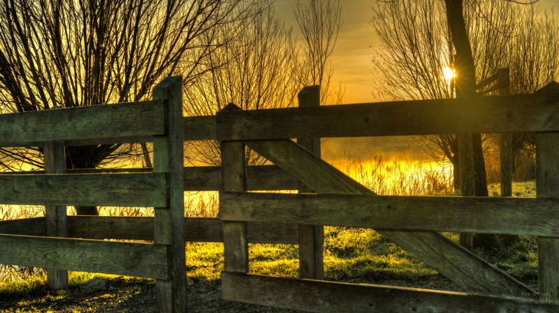 orange skies, Nederland, landscape, 5K, fire, bomen, zon, beautiful, outdoors, bare trees, Nikon D5, Nikkor, mist, West-Friesland, yellow, kale, fog, beauty
