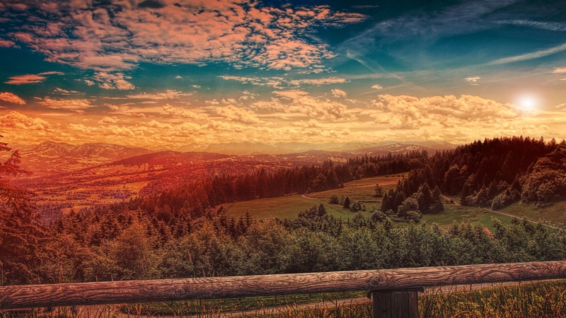 field, sunrise, trees, wilderness, photography, 4K, morning, rural area, sun, cloud, hill, nature, horizon, sunlight, landscape, landscape photography