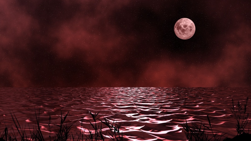 moon, lake, moonlight, midnight, full moon, dusk, darkness, red sky, 4K, night, horizon, night sky, celestial event