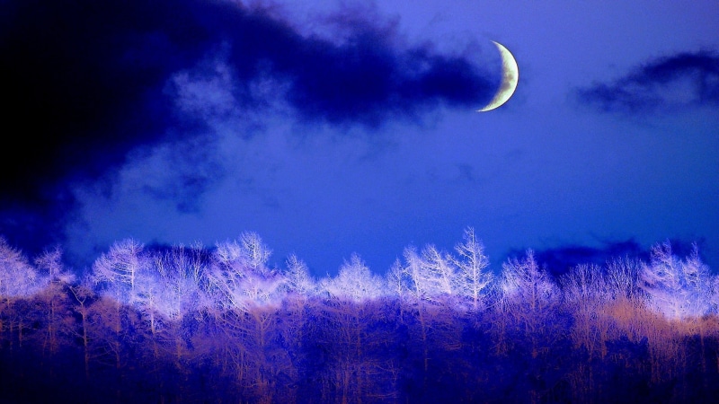 1080P, forest, crescent, winter night, evening, celestial event, blue, darkness, night, cumulus, moonlight, moon, sky
