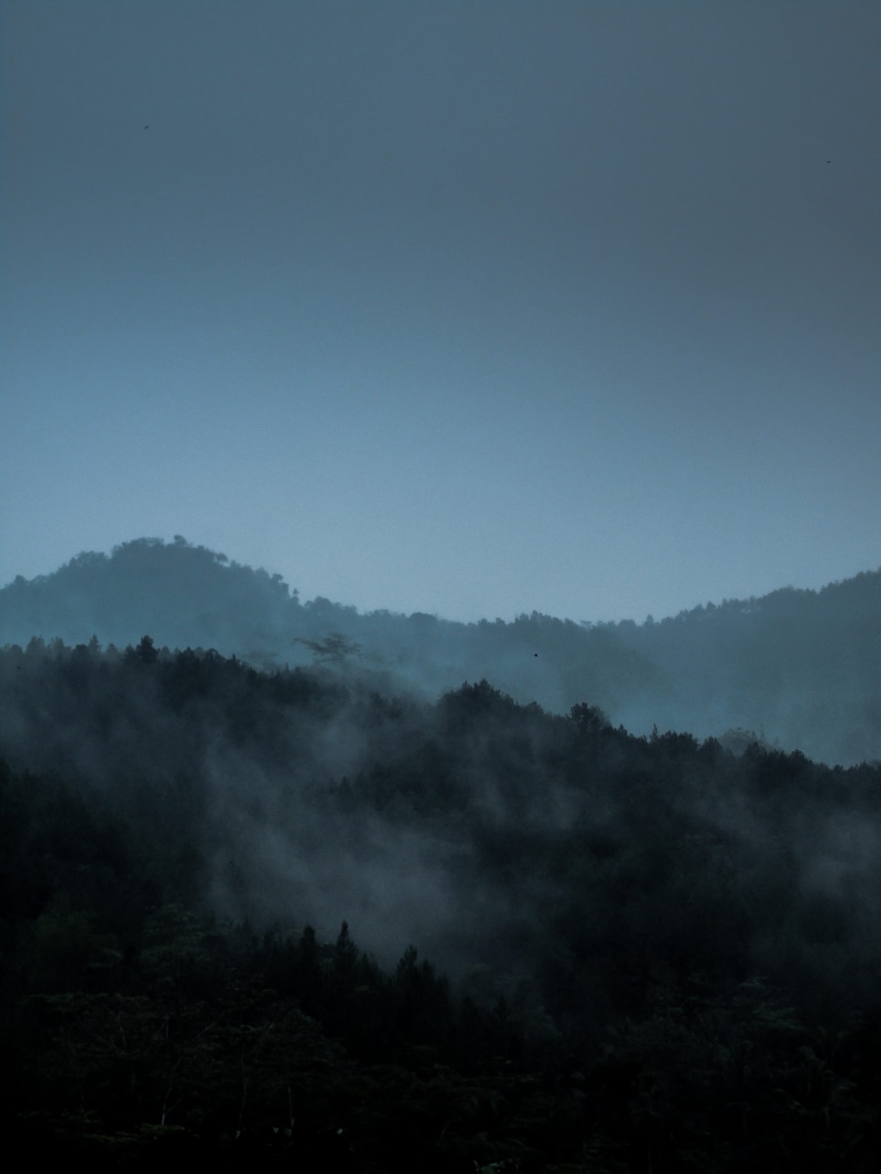 rural Scene, moody, layers landscape, darkness, fog, hill, moody edit, tree, mountain, photography, nature, travel, foggy, cloud - Sky, haze, landscape layerd