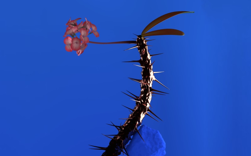 EDM, flowers, Flume, 2K