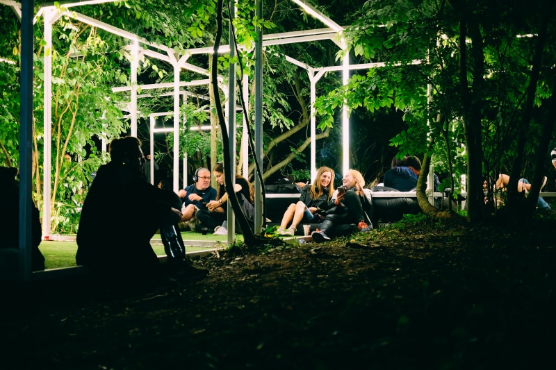 women, friends, sitting, music, enjoyment, growth, chill, social, men, tree, green color, people, nature, outdoors, plant, group, leisure activity, 4K