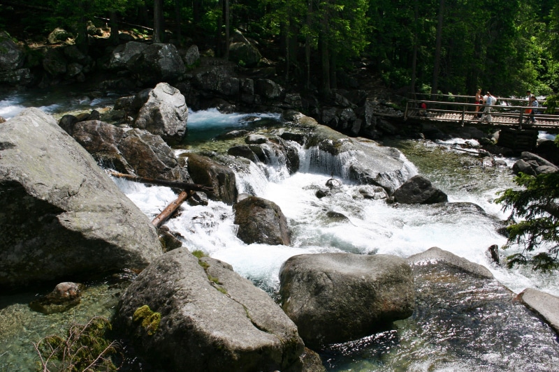 mountains, rock - object, nature, scenics - nature, power in nature, tree, rock, water, stream - flowing water, plant, vysoké tatry, outdoors, forest, flowing