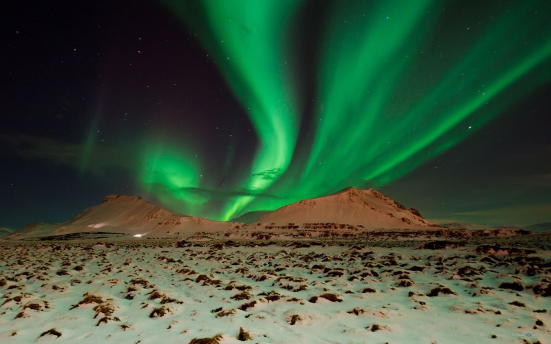 winter, borealis, night, lights, aurora, green, northern, nature, 1080P, hd, snow