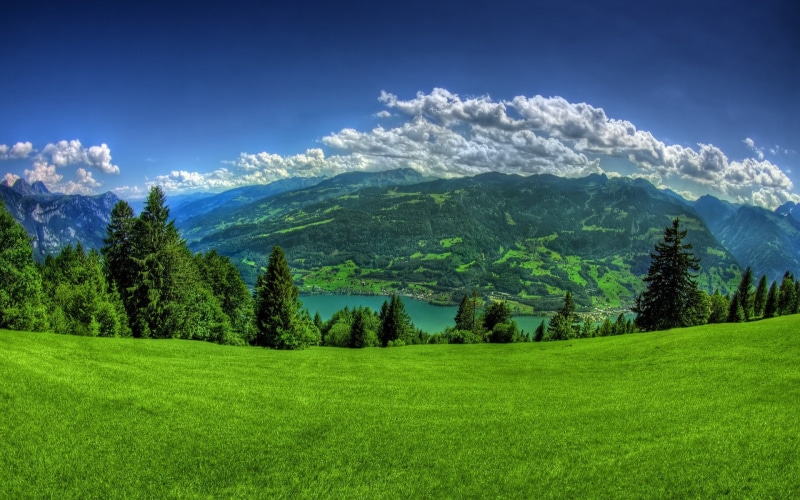 1080P, trees, landscape, fisheye lens, sky, nature, mountains, panorama