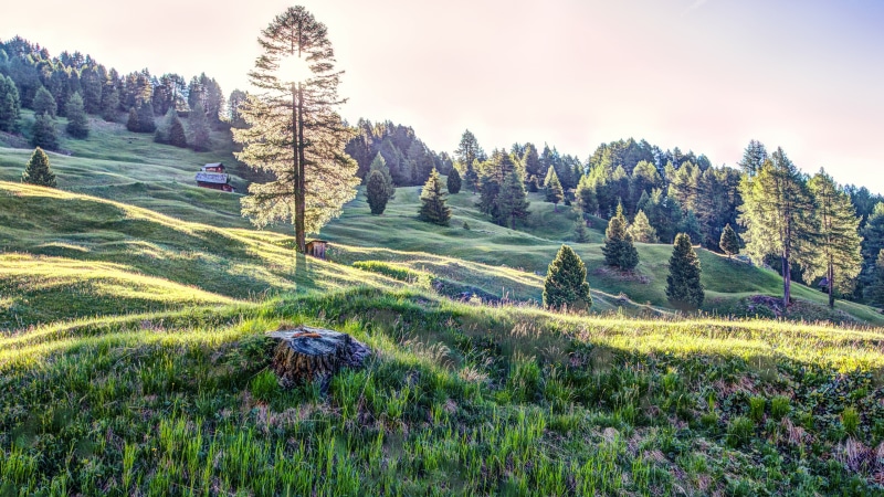hillside, land, mountain village, wilderness, tranquility, sky, santa cristina valgardena, rolling hills, pine tree, 4K, sun, hill, south tyrol, environment
