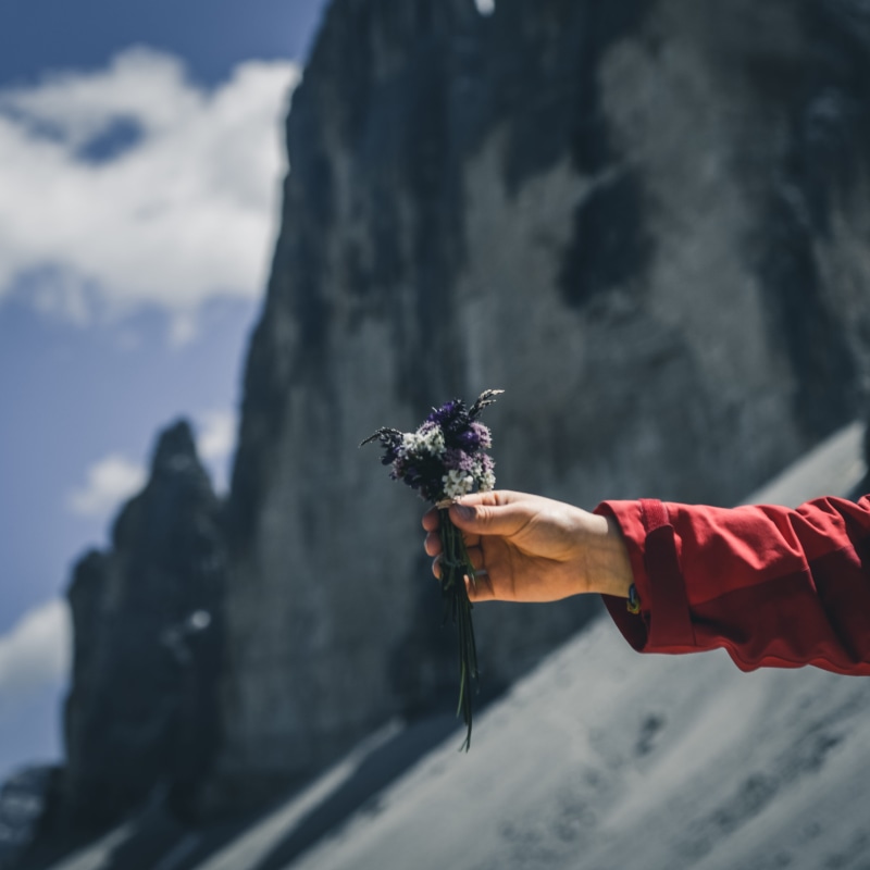 warm clothing, outdoors, men, moody, finger, mountain, flower, daylight, real people, adventure, close-up, plant, flowering plant, freshness, leisure activities