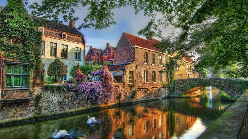 swan, canal, tree, brugge, plant, cottage, town, eu, reflection, water, house, waterway, belgium, home, nature, 1080P