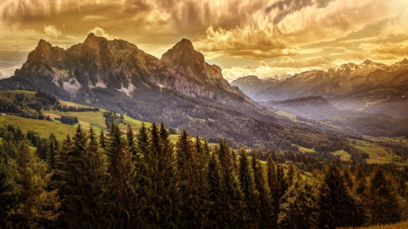 hill, tree, switzerland, peak, highland, mountain range, eu, kleiner mythen, pine, europe, 4K, mountain, nature photography, landscape photography, wilderness