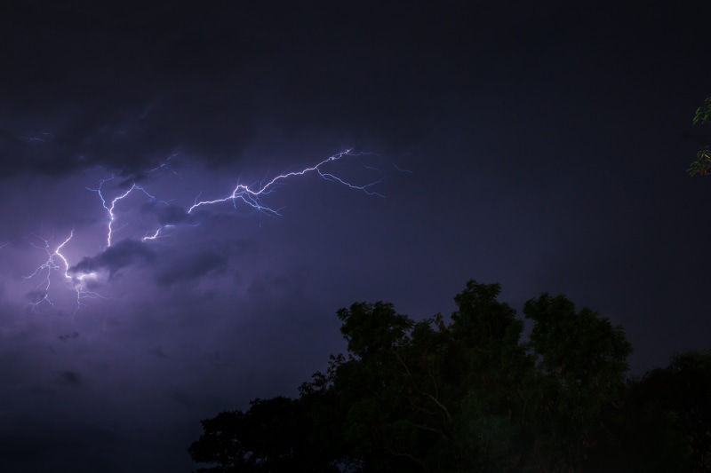 angle, shock, environment, bright, purple, strike, sky, photo, night, storm, ominous, low, plant, weather, danger, tree, warning sign, flash, power in nature