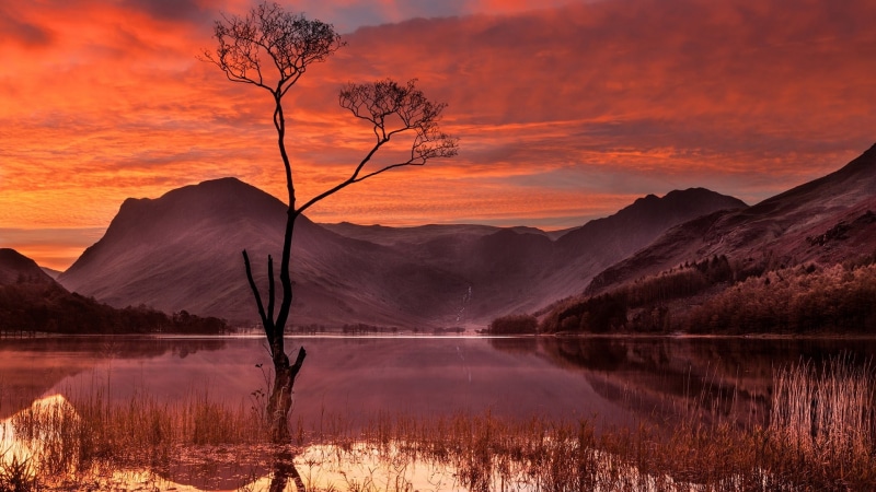 lone tree, morning, lake, red sky, 1080P, lonely tree, red sky at morning, reflection, dawn, mountain, mountain lake