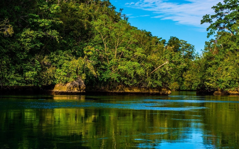body, landscape, day, sea, tranquil scene, scenics - nature, forest, beauty in nature, waterfront, tranquility, sky, foliage, idyllic, beach, island, lake