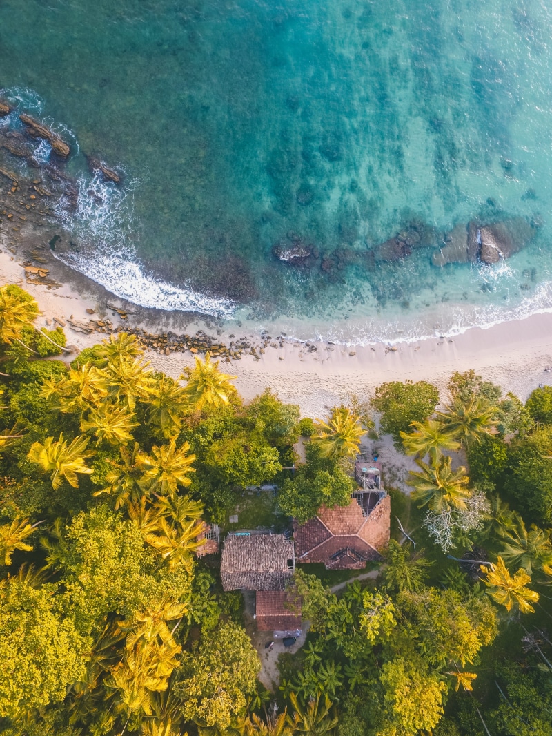 landscape, clear, water, scenics - nature, day, forest, aerial shot, beach, 4K, tranquility, sri lanka, sea, island, ocean, outdoors, flowering plant