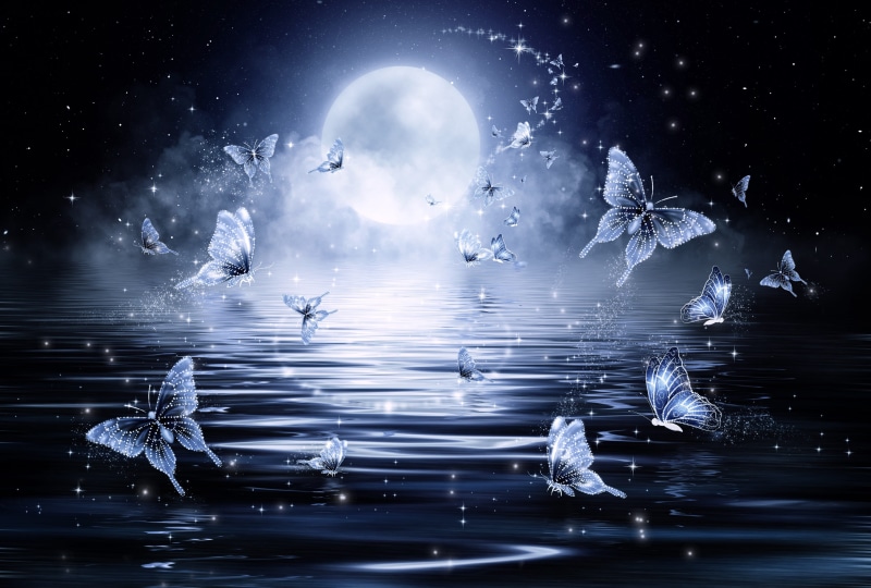 waterfront, group of animals, butterflies, fantasy, cold temperature, drawing, flying, animals in the wild, butterfly, animal wildlife, no people, animal