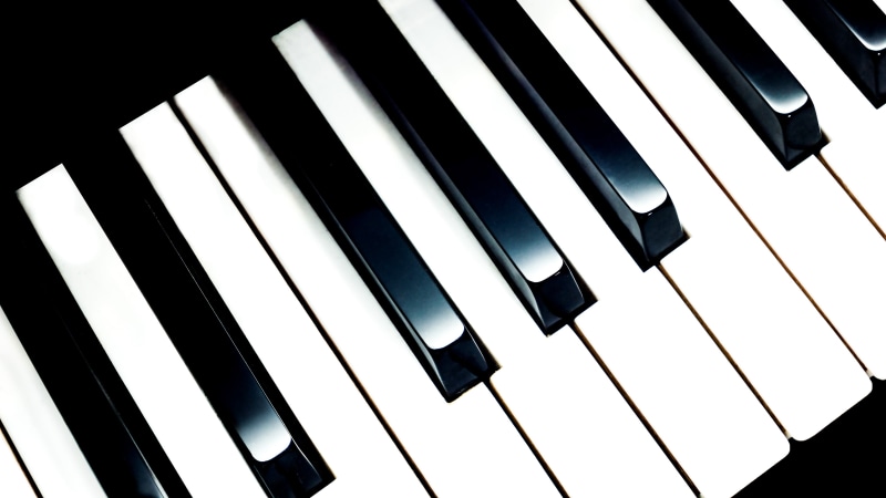 white color, black Color, studio shot, repetition, high angle view, musical Instrument, piano, musical equipment, scores, full frame, concert, indoors
