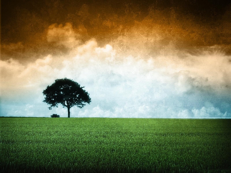 india, indian, flags, flag, 720P
