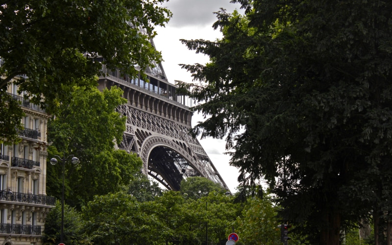 green, Park, tree, eiffel, tower, Paris, Eiffel Tower, 2K, leaf