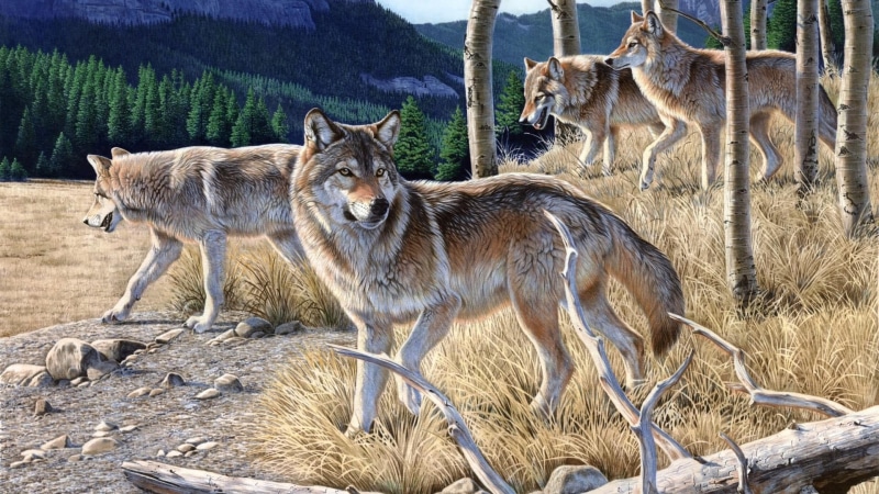 outdoors, wilderness, group of animals, young animal, painting, nature, animal, vertebrate, animal family, tree, animals in the wild, land, field, forest