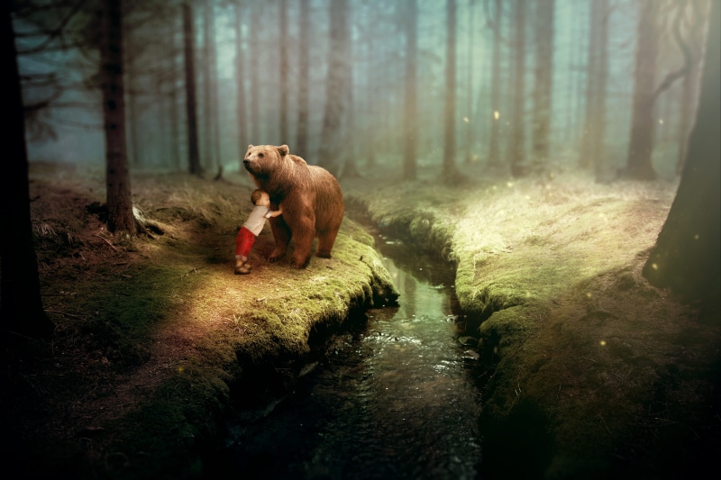 atmosphere, mysterious, one animal, land, sunbeam, emotion, front, mystical, brown bear, day, pets, fairytale, vignette, away, fantasy, boy, trees, glowworm