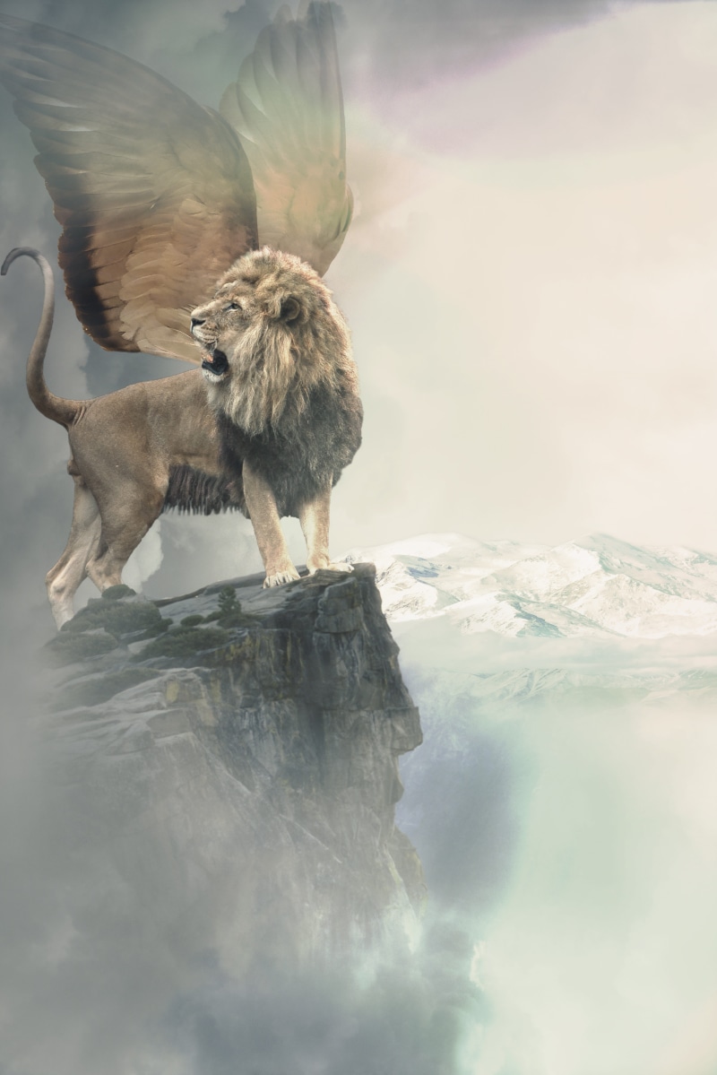 no people, cold temperature, composing, wing, 5K, vertebrate, animals in the wild, solid, day, mammal, animal wildlife, animal themes, beauty in nature