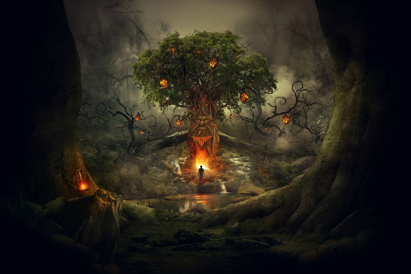religion, belief, Dream, smoke - physical structure, land, Alone, no people, Lanterns, heat - temperature, lighting equipment, Tree, plant, fire, burning