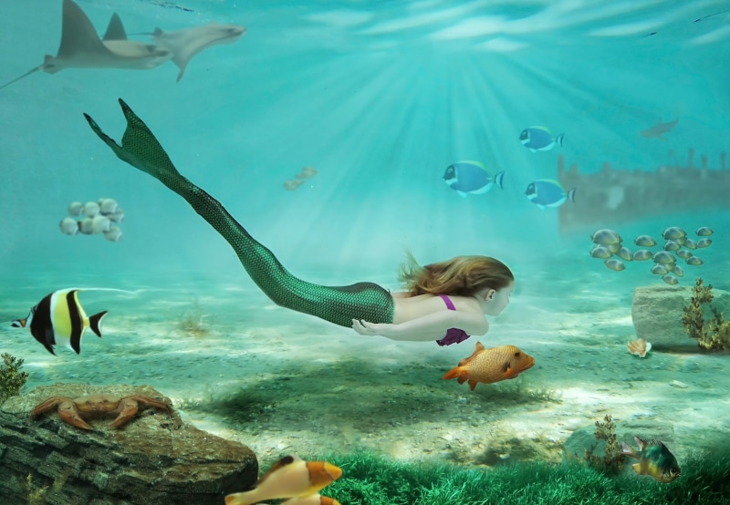 underwater, large group of animals, drawing, undersea, women, long hair, crabs, sunlight, animal, animal wildlife, fish, fantasy art, animals in the wild