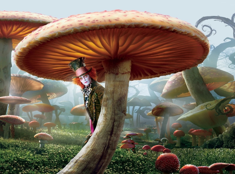 land, wonderland, 2010 movie, close-up, red, plant, toadstool, freshness, Alice In Wonderland, tree, vegetable, fragility, fantasy movie, growth, mushroom