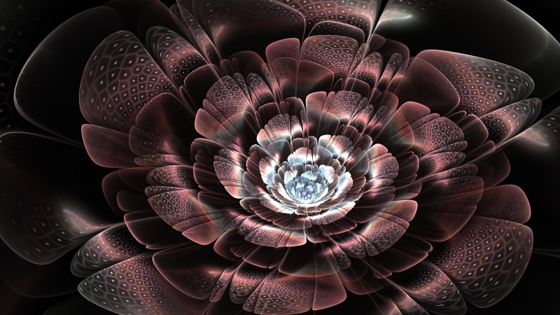 digital art, shine, flower, cool, petal, fractal art, abstract art, dark, 3d, 4K, glow