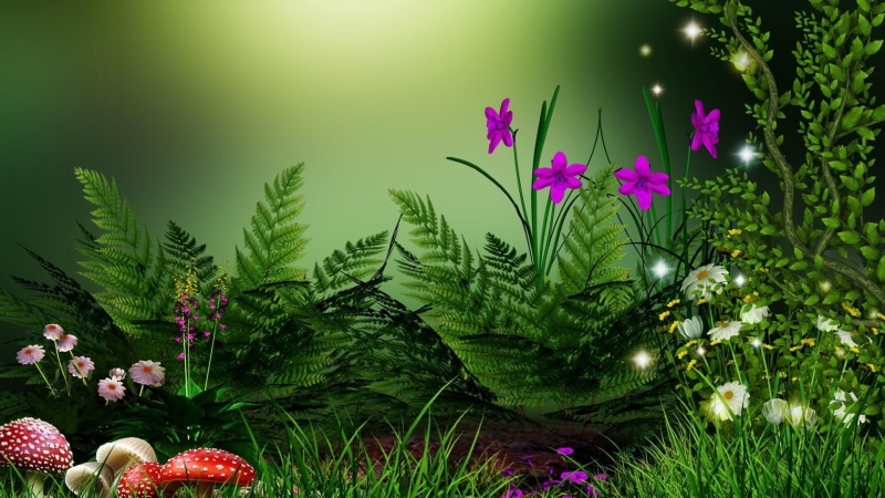 fragility, wildflower, mushroom, day, plant part, leaf, nature, growth, dream, petal, vulnerability, 1080P, flower head, outdoors, grass, dreamy, flower
