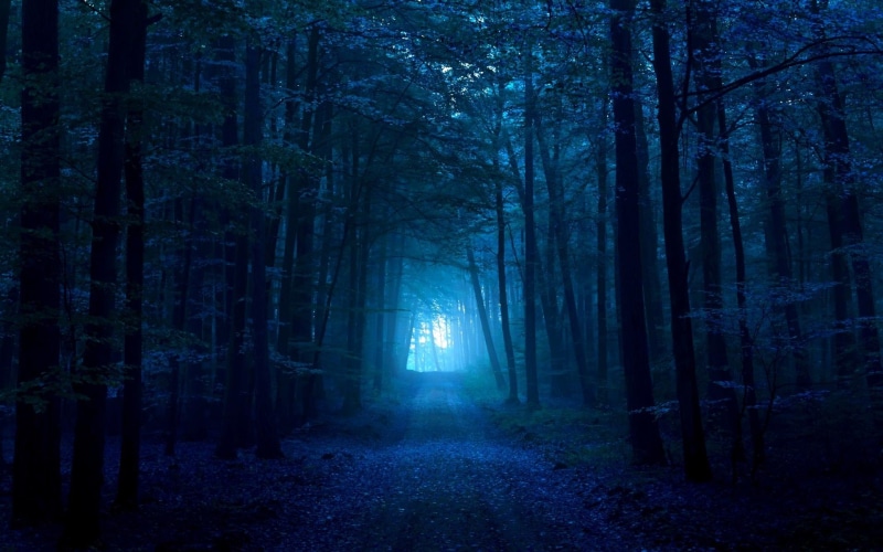 path, 1080P, forest, dark, blue, 3d and abstract
