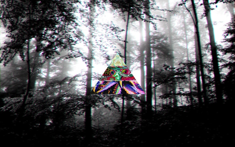 branch, no people, multi colored, land, trunk, day, dark, tree trunk, LSD, decoration, forest, tree, scenery, tranquility, celebration, growth, plant, outdoors