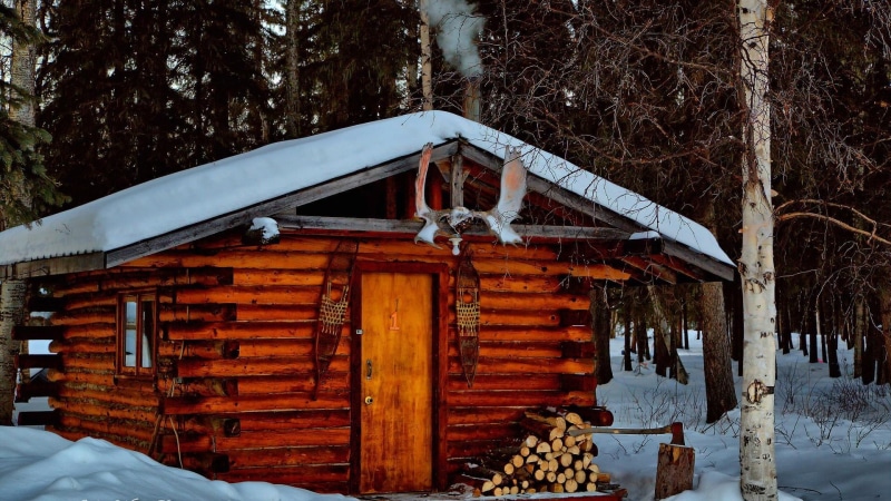 wood - material, shed, forest, outdoors, covering, alaska, frozen, day, shack, wood, snow, cottage, built structure, beauty in nature, land, hut, home