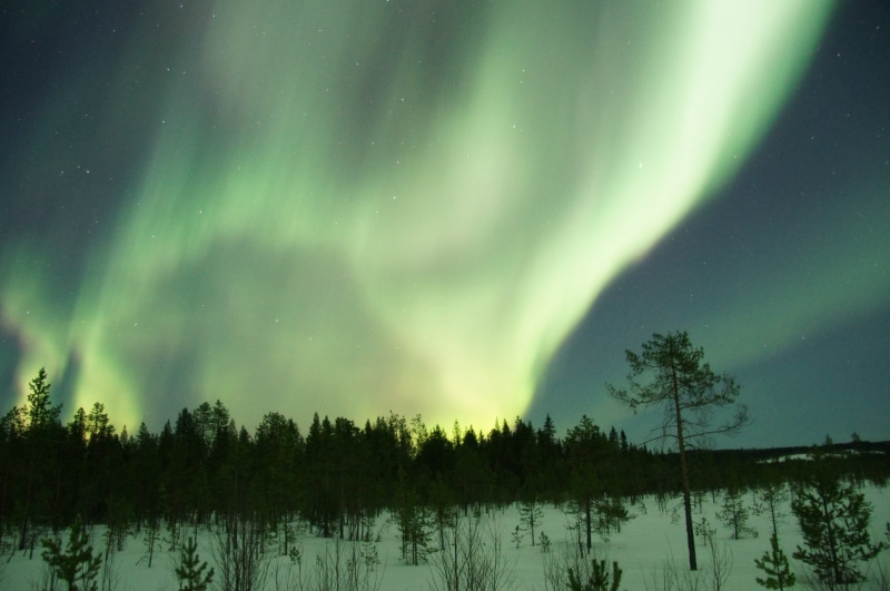 majestic, no People, reflection, astronomy, Aurora Borealis, forest, scenics - nature, tree, sky, borealis, tranquility, blue, " photo", nature, bright