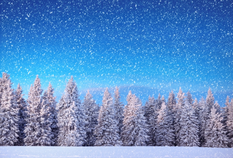 outdoors, beauty In Nature, january, white, plant, cold - Temperature, tranquil Scene, snowcapped mountain, polar Climate, cold temperature, coniferous Tree