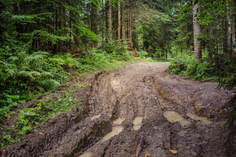 dirt, transportation, pool, way, tranquil scene, poland, green color, plant, direction, diminishing perspective, dirt road, mountains, beskids, trail, road