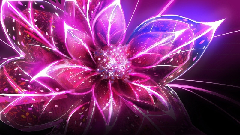 purple, firework, no people, glowing, vibrant color, pink, celebration, nightlife, studio shot, flower, night, bright, flowers, digital, 1080P, party - social event
